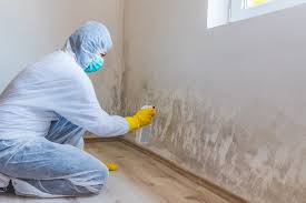 Best Mold Removal for HVAC Installations  in Cove Creek, NC