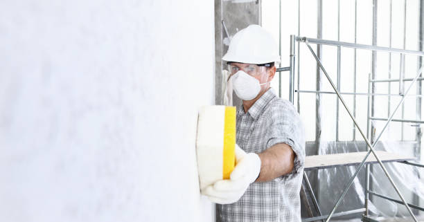 Why You Should Choose Our Mold Remediation Services in Cove Creek, NC